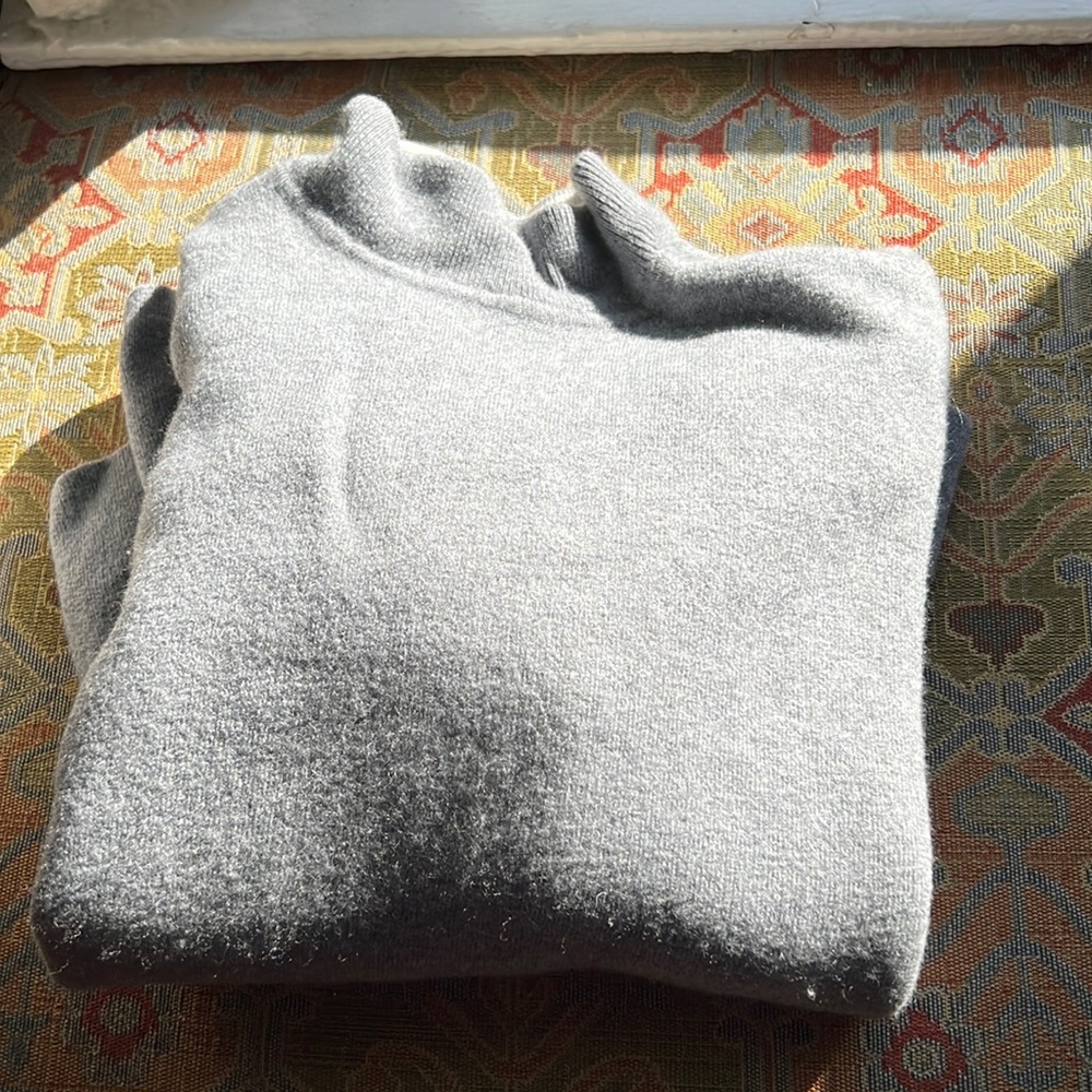 Everlane high low mock turtle top.